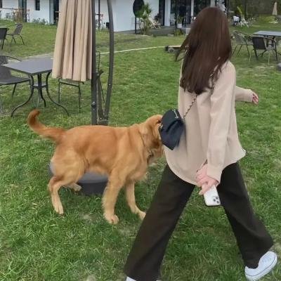 我的家人和其他动物 在线观看